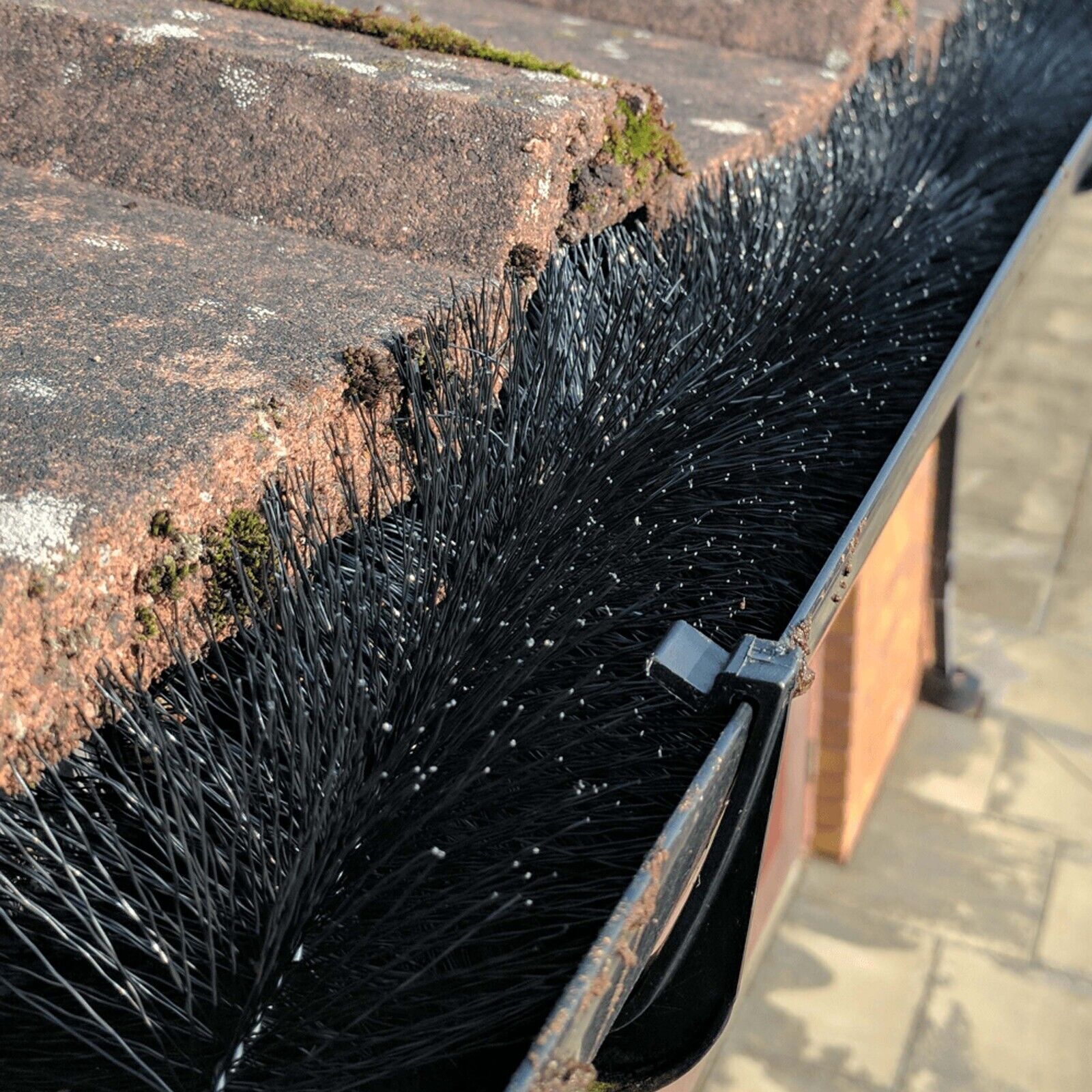 AMOS Gutter Brush Black