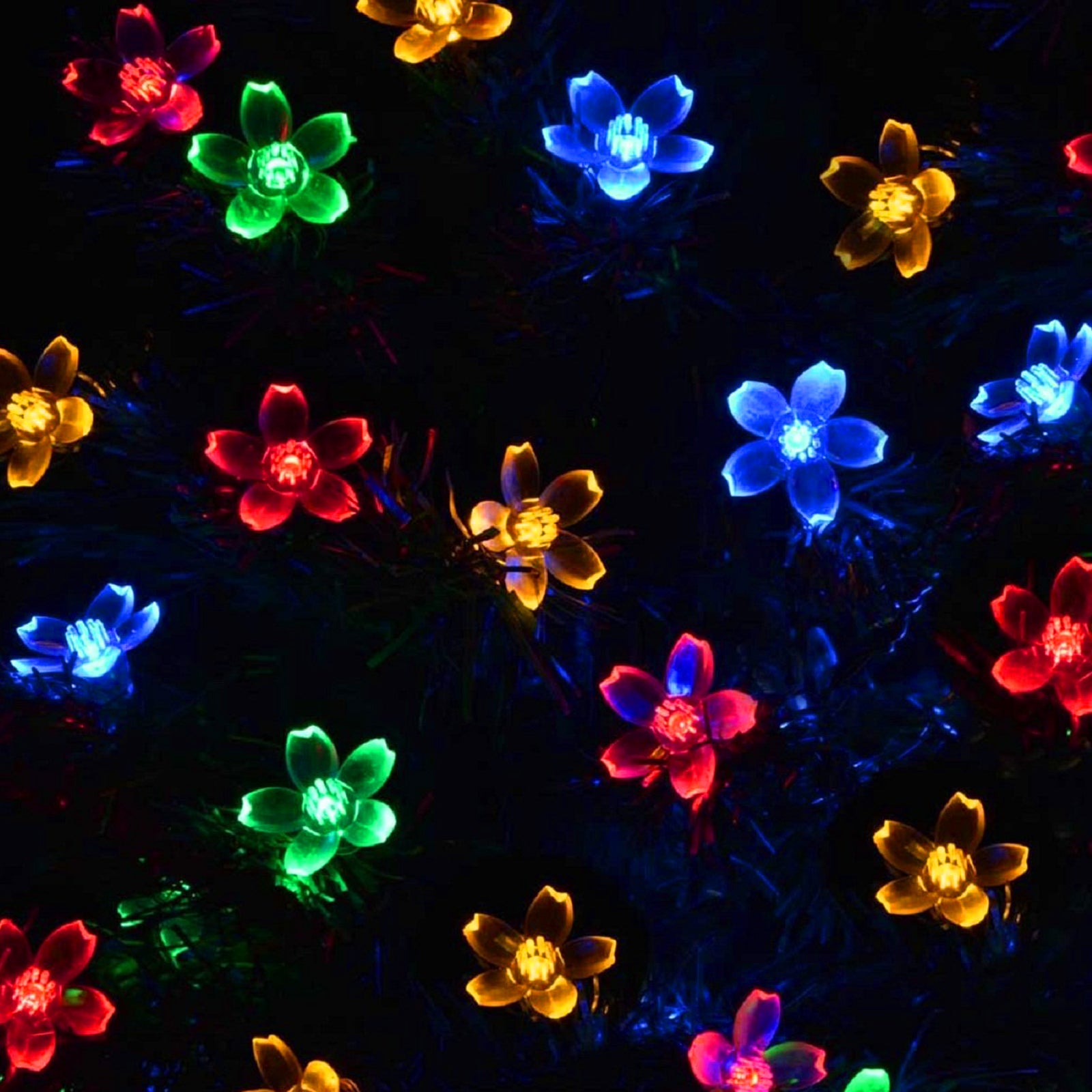 AMOS Multi Coloured LED