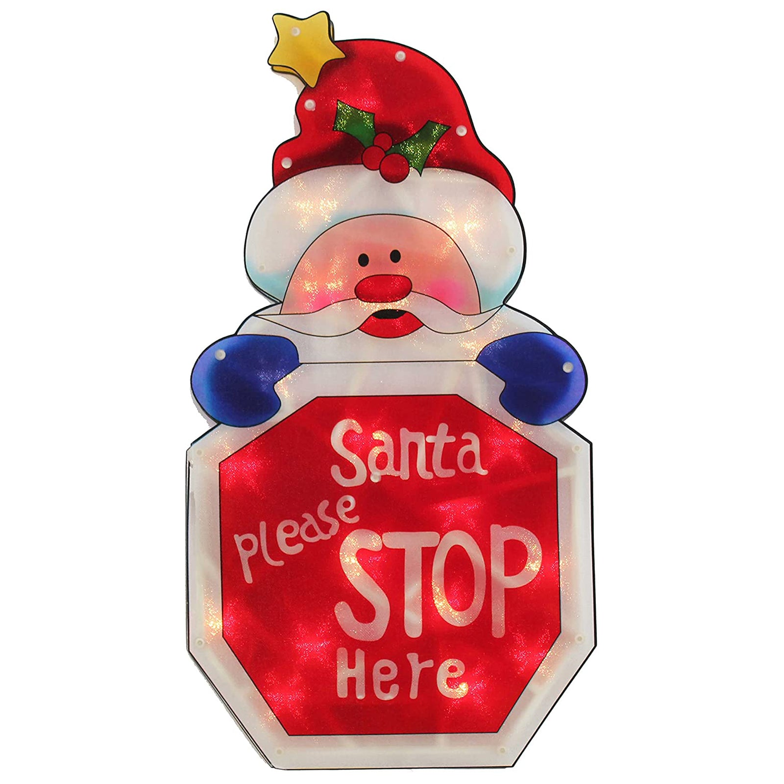 Battery Operated Indoor LED Christmas Decoration 