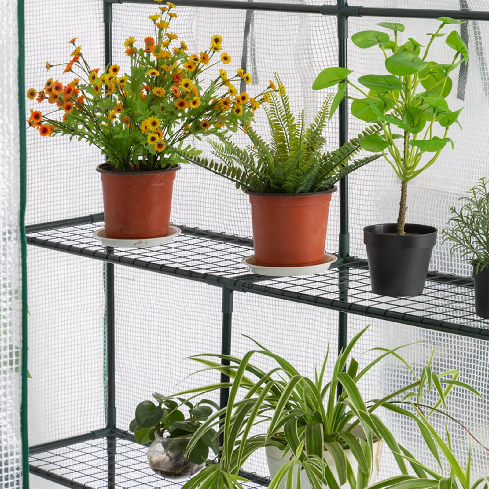 AMOS 3-Tier Outdoor Greenhouse