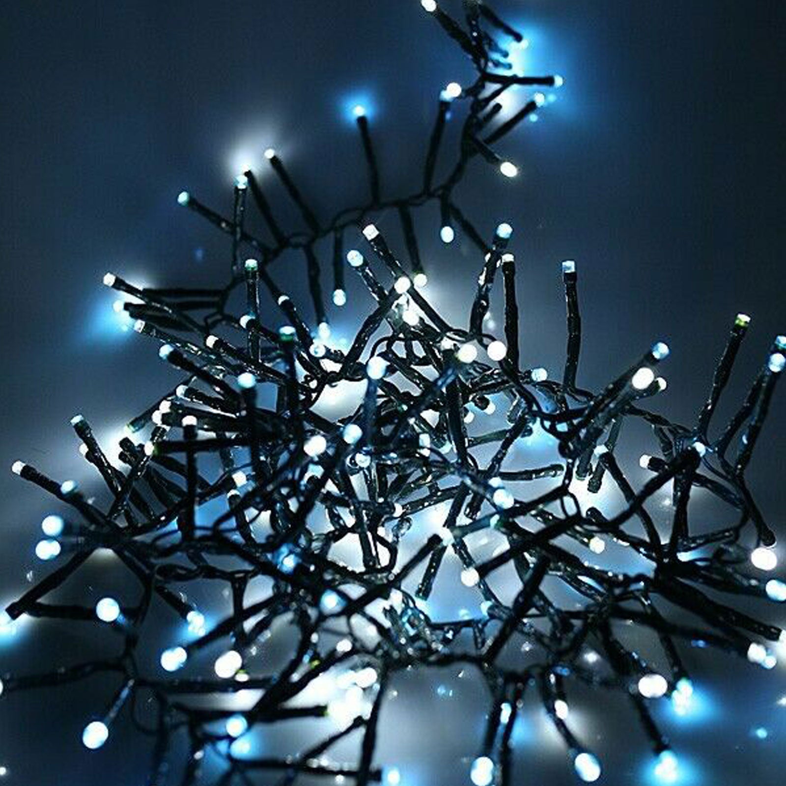 240 LED Cluster Christmas Lights 3.1m Auto Turn On Multi Function Timer Memory Indoor Outdoor